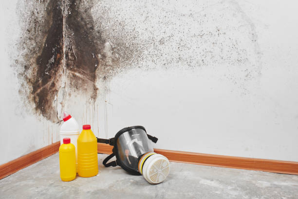 Crawl Space Mold Removal in Metamora, IL