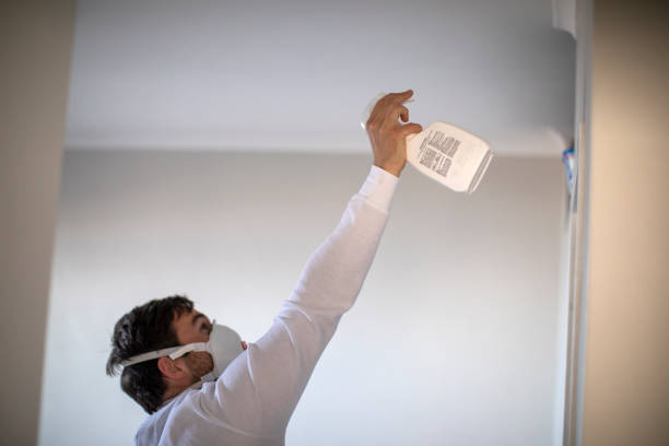 Best Crawl Space Mold Removal  in Metamora, IL