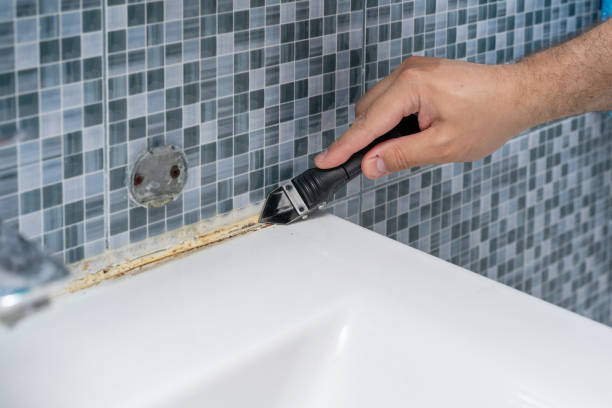 Best Toxic Mold Removal  in Metamora, IL
